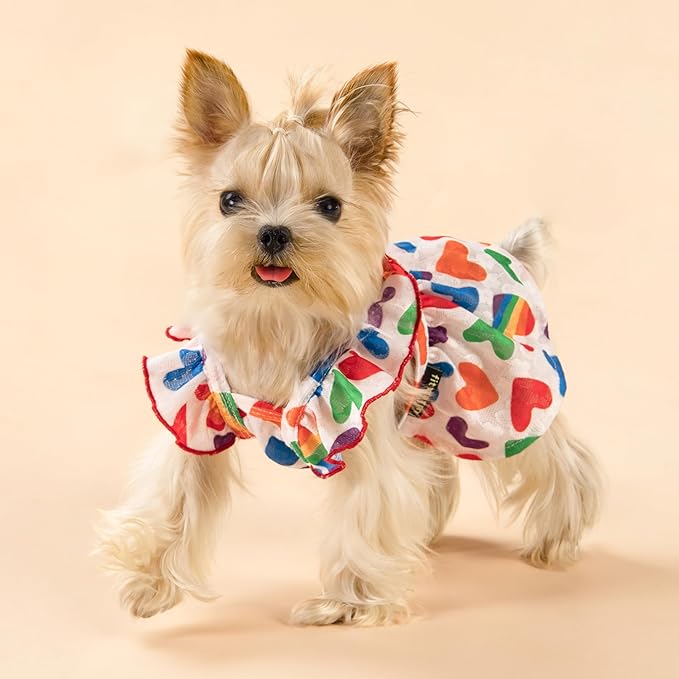 Fitwarm Colorful Heart Dog Dress, Summer Clothes for Small Dogs Girl, Cute Pet Rainbow Outfit, Red, Yellow, Blue, Green, White, Small