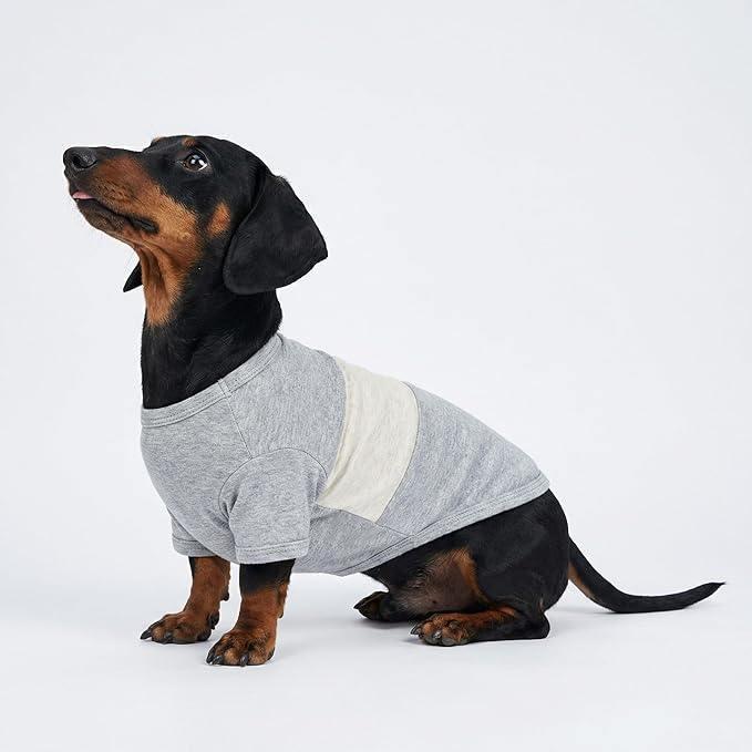 Fitwarm 3 Pack Color Block Striped Dog Shirt, Summer Dog Clothes for Small Dogs, Breathable Lightweight Pet Tshirt with Sleeves, Cat Outfit, Oliver Green, Grey, Black, Large