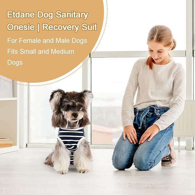 Etdane Dog Period Diapers Small Dog Sanitary Panties Period Suit for Male Female Dogs Diaper Cover for Heat Blue/Medium