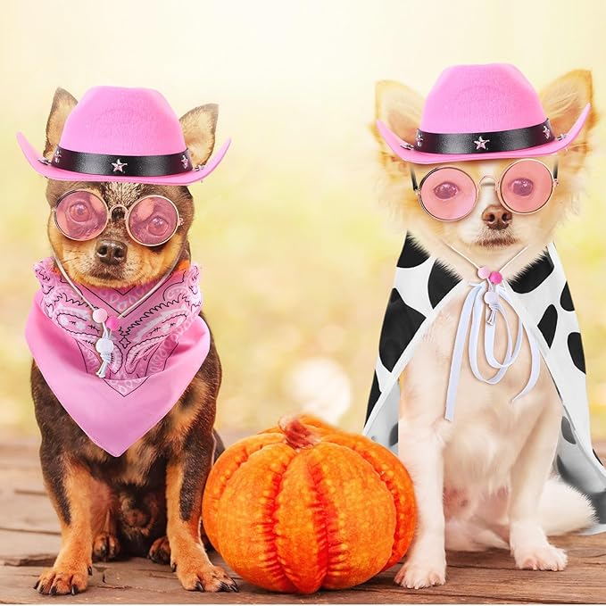 4 Pcs Halloween Dog Costumes Pet Cowboy Costume Cowgirl Hat with Bandana, Puppy Cape and Hip Hop Glasses for Halloween Dog Cat Puppy Kitten Cosplay Accessories(Large)