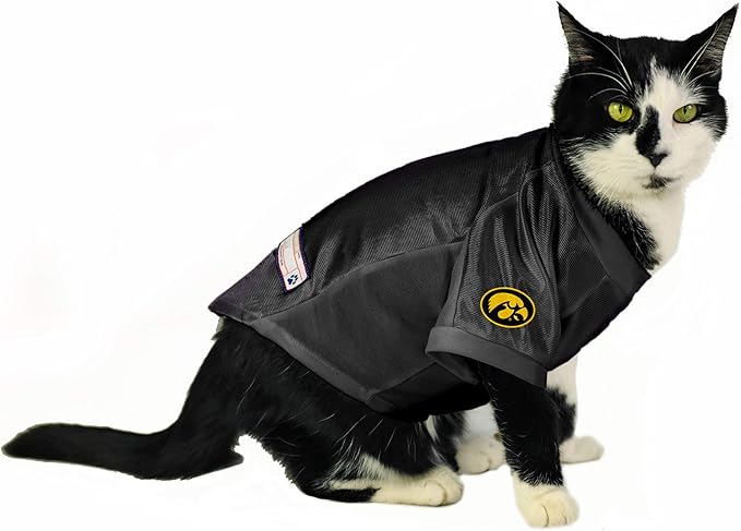 Littlearth NCAA Stretch Pet Jersey