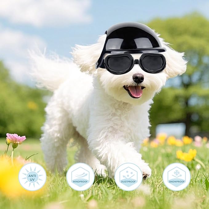 LESYPET Dog Goggles and Helmet for Small Breed, UV Protection Doggy Sunglasses Debris Protection Glasses Dog Motorcycle Helmet with Ear Holes Adjustable Strap for Riding Biking Outdoor, Black
