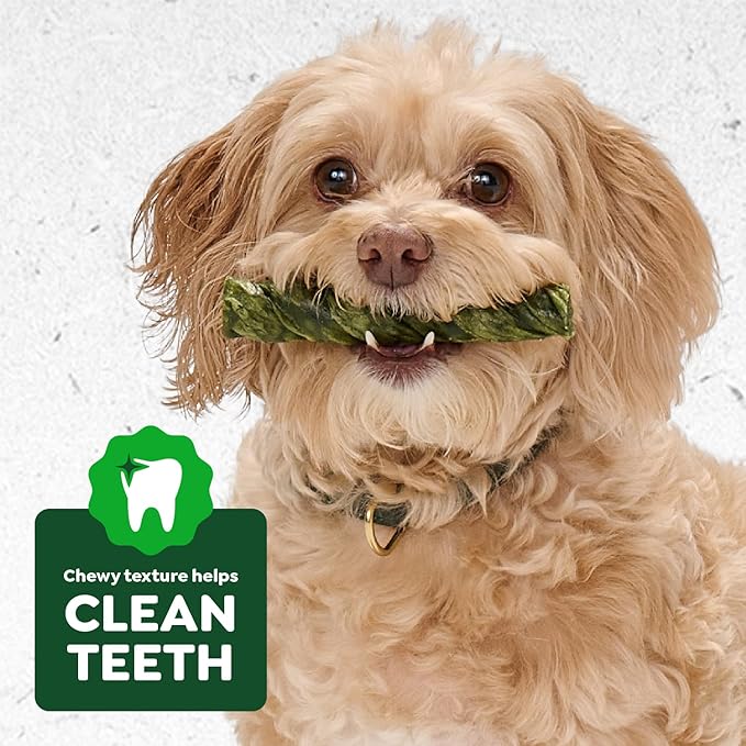 Greenies Occupy Twists Natural Dog Treats Regular Size Dog Chews Long Lasting Chicken Flavor, 34.6 oz. Pack, 24 Count