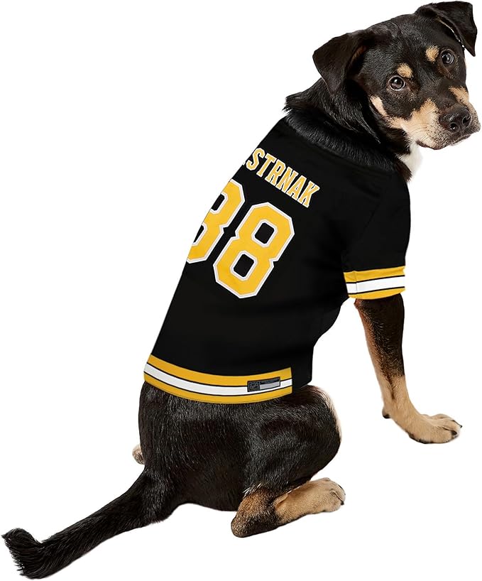Pets First NHLPA David Pastrnak Mesh Jersey for Dogs & Cats, Boston Bruins Pasta-88 Dog Jersey, Size Large, Licensed with Your Favorite Hockey Team Player