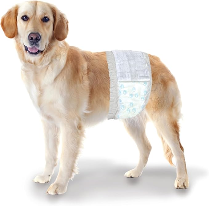 Four Paws Wee-Wee Super Absorbent Disposable Adjustable Dog Potty Training Male Wraps Diapers, Leak-Proof Protection for Puppies and Small Dogs, Medium, 12 Count