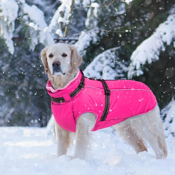 Lelepet Dog Winter Coat Waterproof Dog Jacket with Harness Built in Windproof Reflective Pet Coats for Small Medium Large Dogs, Thermal Fleece Lined Coats for Cold Weather Walking Hiking, Pug, M