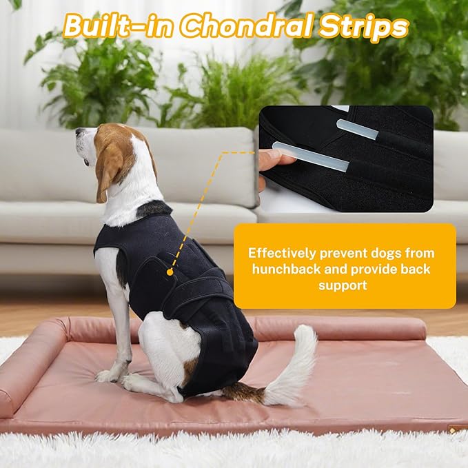 Adjustable Back Support for Medium Dogs - Joint Support Brace with 5 Plastic Rib Support System & Soft Airflow Fabric, Ideal for Post-Op or Daily Back Support, Black M