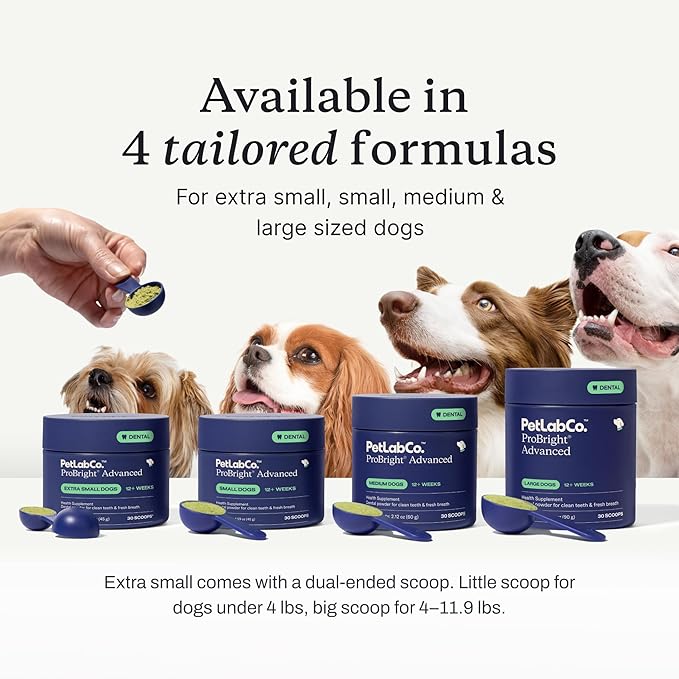 PetLab Co. - Tooth & Gum Support Bundle for Small Dogs: Dental Wipes for Everyday Dental Health Support & Dental Powder for an Effortless Clean in 1 Scoop – Easy to use – Premium Quality Ingredients