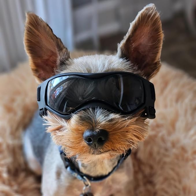 PETLESO Dog Goggles Small Breed, XS Dog Sunglasses Chihuahua Glasses Anti-UV Eyes Protection for XSmall Pets Tiny Dogs Cats, Black XS