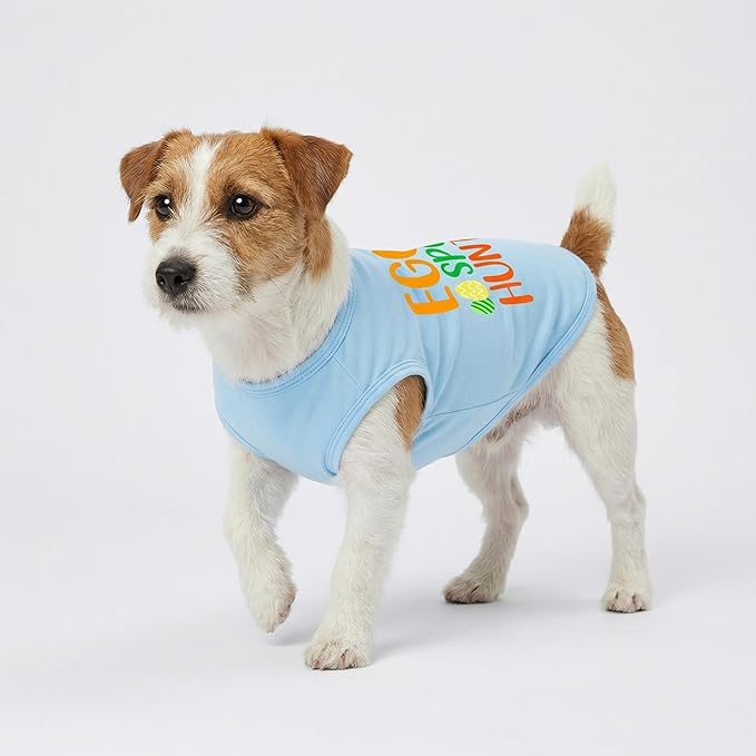 Fitwarm Egg-spert Hunter Dog Easter Outfit, Summer Clothes for Small Dogs Boy Girl, Pet Outfit, Blue, Red, Green, Orange, XL