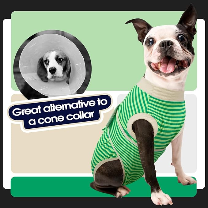 FUAMEY Dog Recovery Suit Male,Dogs Surgery Neuter Suits Puppy Spay Shirts for Female Protect Dog's Skin Anti Licking Abdominal Wounds Doggie Onesie Pet Bodysuit Alternative to Cone Green Stripes XS