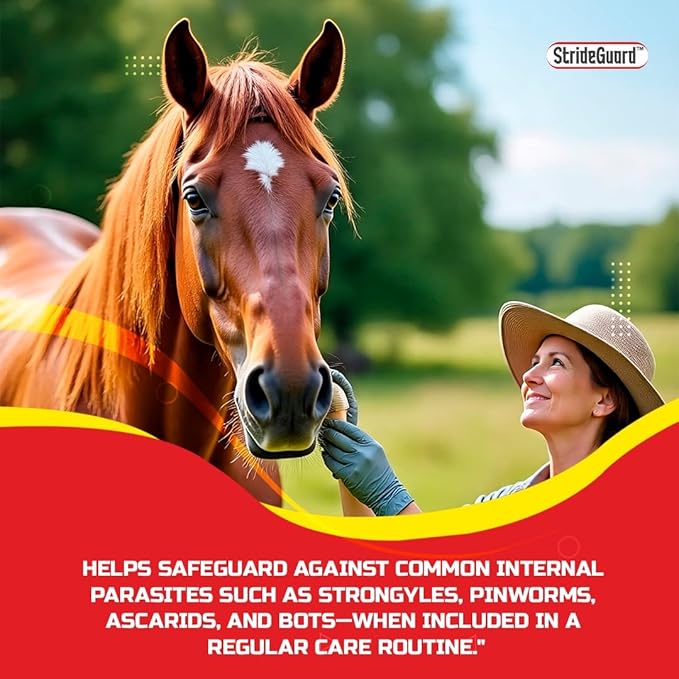 Horse Ivermectin Paste 1.87% – Apple Flavored Oral Horse Dewormer Syringe – 6.08g Tube Treats Horses Up to 1250 LB (4 Pack)