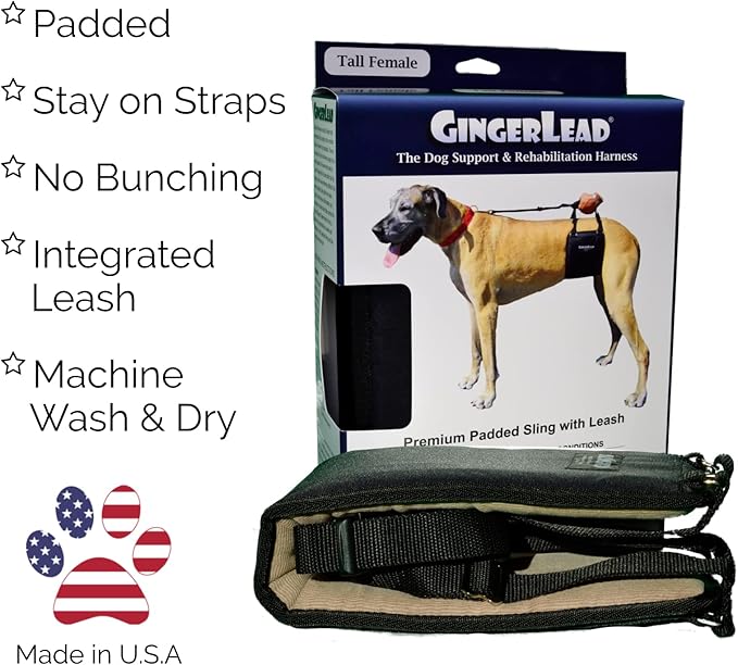 GINGERLEAD Dog Sling Hip Support Harness, Tall Female fits Tall, Lean Female Dogs Like Greyhounds or Great Danes. Padded Lifting Aid to Help Pets Up or Down Steps, in or Out of Vehicles. Made in USA