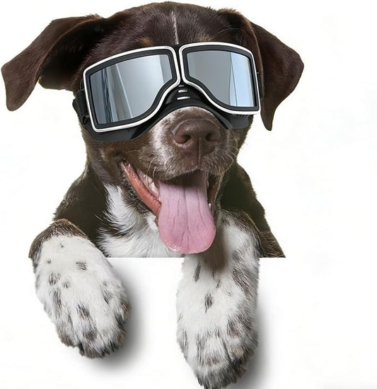 PETLESO Dog Goggles Medium Large Breed, UV400 Dog Sunglasses for Pet Outdoor Riding Driving Hiking, Windproof Snowproof Eyes Protection, Breathable Frame Adjustable Strap, Black
