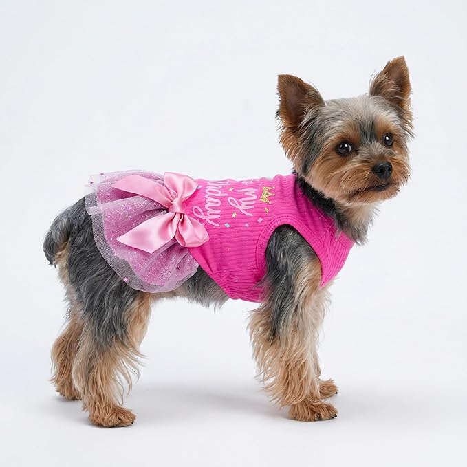 Fitwarm It's My Birthday Dog Dress, Dog Birthday Dress with Bowknot, Dog Clothes for Small Dog Girl, Funny Dog Clothes, Female Pet Outfit, Pink, Large