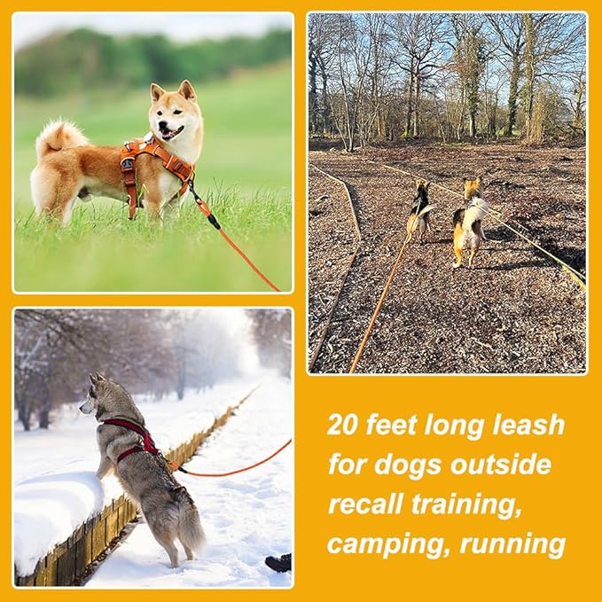 Vivifying Floating Long Dog Leash, 20ft Dog Training Leash for Outside and Yard, Reflective Long Line Lead with Soft Handle for Beach and Swimming (Orange)