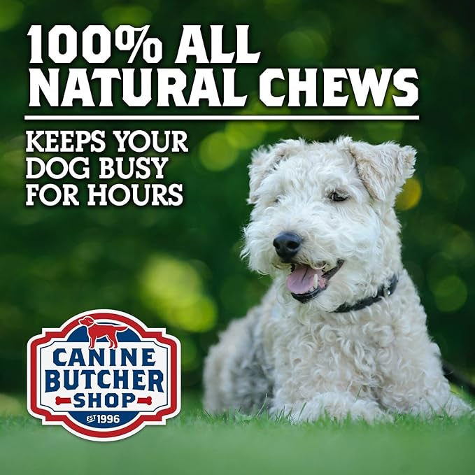 Pig Ears for Dogs, Always USA Made (30-Pack), All Natural, Sourced in USA Pig Ears, Digestible Pork Dog Chew Treat