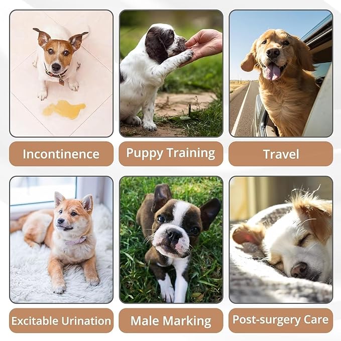 Paw Legend Washable Dogs Diapers Male Dog Belly Bands for Male Dogs Diapers Reusable Puppy & Doggie Diapers Male (3 Pack, X-Large)
