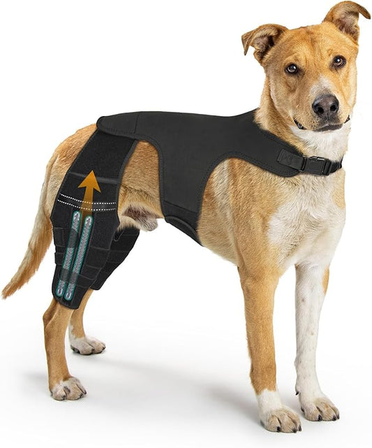 Dog Knee Brace for Hind Legs ACL Support - Adjustable Double Back Leg Brace for Dogs with Joint Pain Relief, Luxating Patella, Arthritis Recovery, Hip Dysplasia (Small)