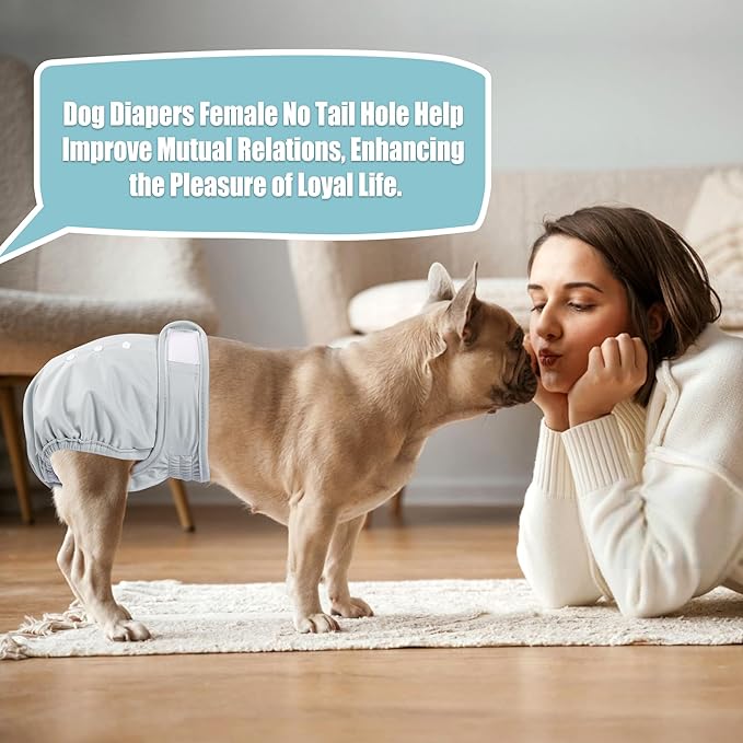 wegreeco Frenchie Dog Diapers Female No Tail Hole, Washable Pet French Puppy Bulldog Diapers Female for Period Heat, Reusable Doggy Doggie Dog Diapers (Medium