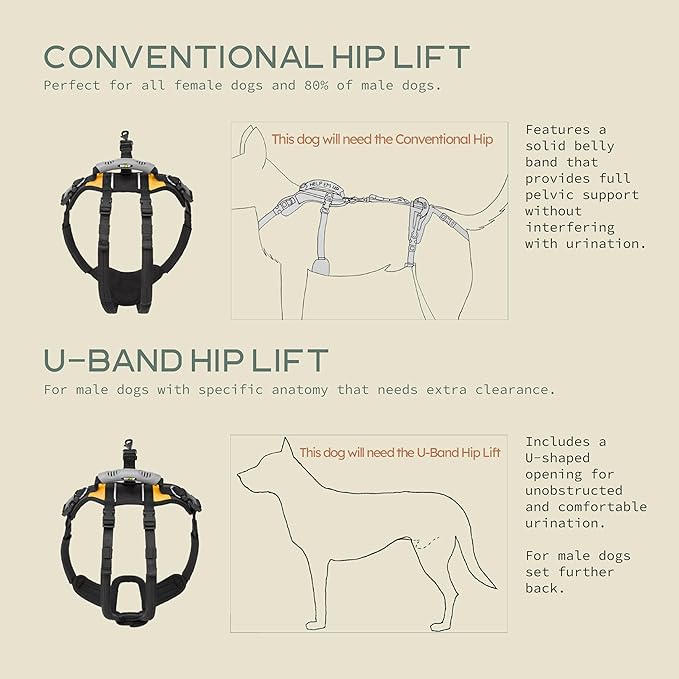 Help 'Em Up® - Dog Lift Harness│ Adjustable Lifting Harness for Dogs │ Full Body Support, Rear Leg Support (U-Band, XL)