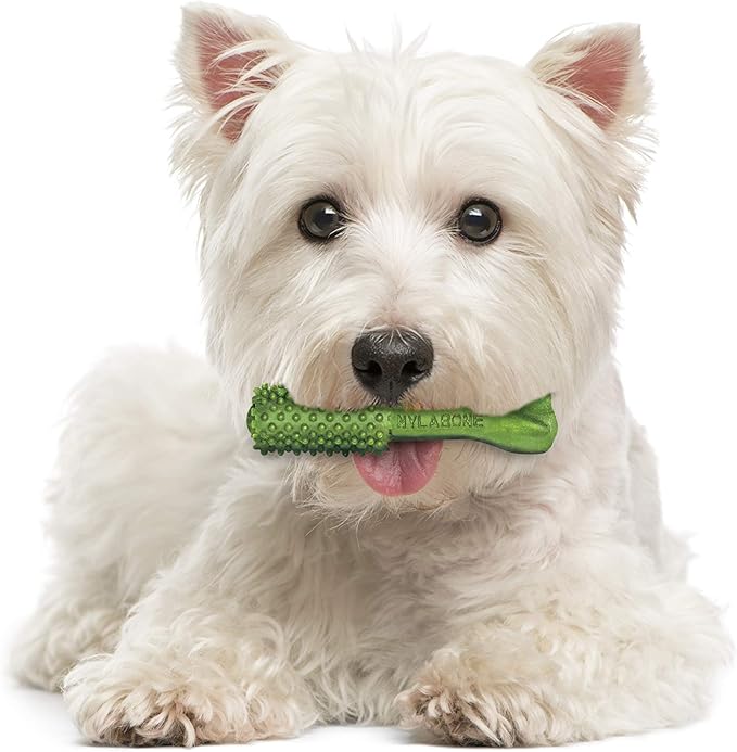 Nylabone Nutri Dent Dog Dental Chews - Natural Dog Teeth Cleaning & Breath Freshener - Dental Treats for Dogs - Fresh Breath Flavor, Small (28 Count)
