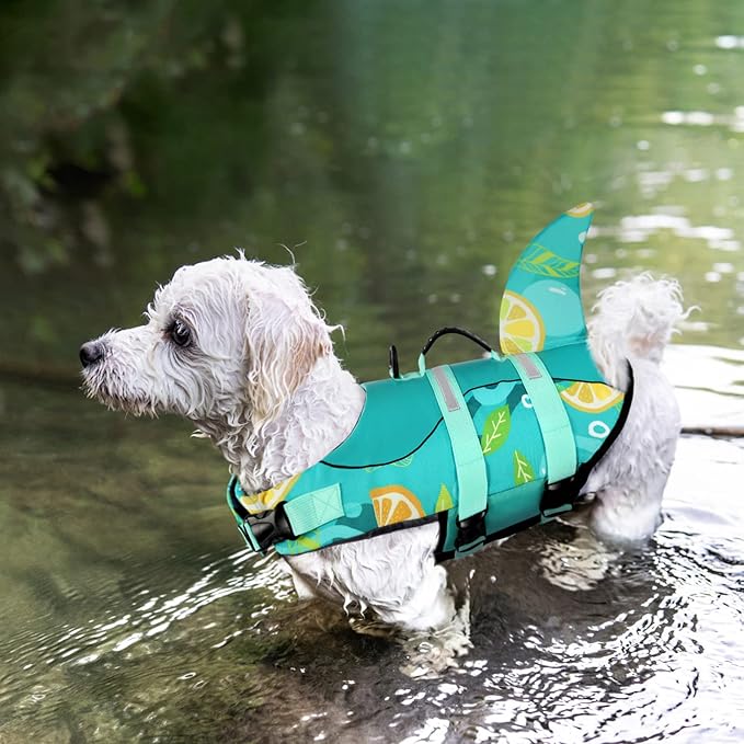 Queenmore Dog Shark Life Jacket with Rescue Handle - Adjustable Reflective Dog Life Preserver for Large Dogs, Green Print XL