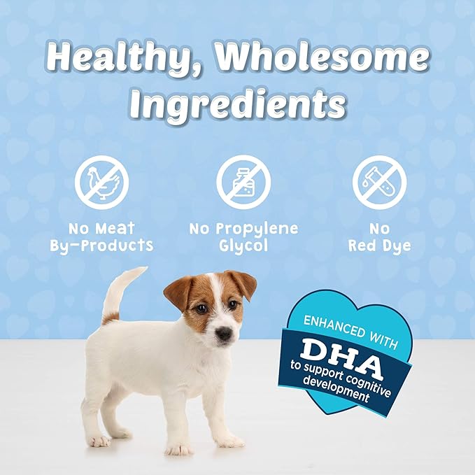 Blue Buffalo Blue Bits Natural Soft-Moist Training Dog Treats Beef Recipe 9-oz Bag
