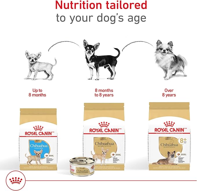 Royal Canin Chihuahua Adult Breed Specific Dry Dog Food, 2.5 lb. Bag