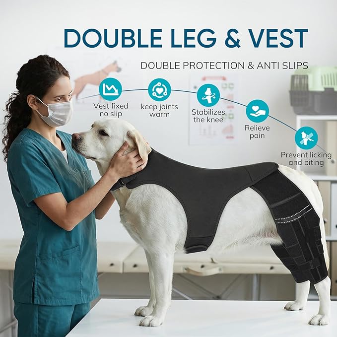 Adjustable Dog Knee Brace for ACL Tear and Arthritis Recovery - Dual Hind Legs Support with Harness Connection - Orthopedic Leg Wrap for Joint Stability and Pain Relief in Small to Large Dogs (L)