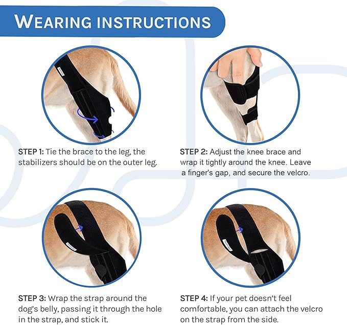 Dog Knee Brace for Torn ACL Hind Leg, Canine Leg Support for ACL/CCL & Cruciate Ligament Conditions, Arthritis Support, Adjustable & Durable, Black, Size M