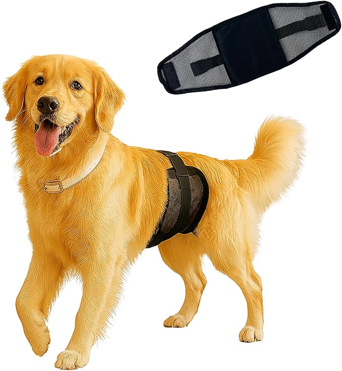 Dog Diapers Male – Reusable & Washable Belly Bands for Dogs, Breathable Air-Mesh Fabric, High Absorbing, for Doggie & Puppy in Incontinence or Excitable Urination and Training（XL）