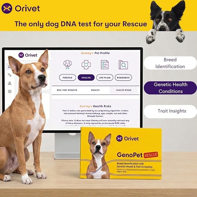 ORIVET Dog DNA Test Kit – Comprehensive Dog DNA Test Kit for 365+ Breed Identification & 265 Health Markers | At Home Dog DNA Kit with Canine Genetic Testing & Life Plan Genopet Rescue