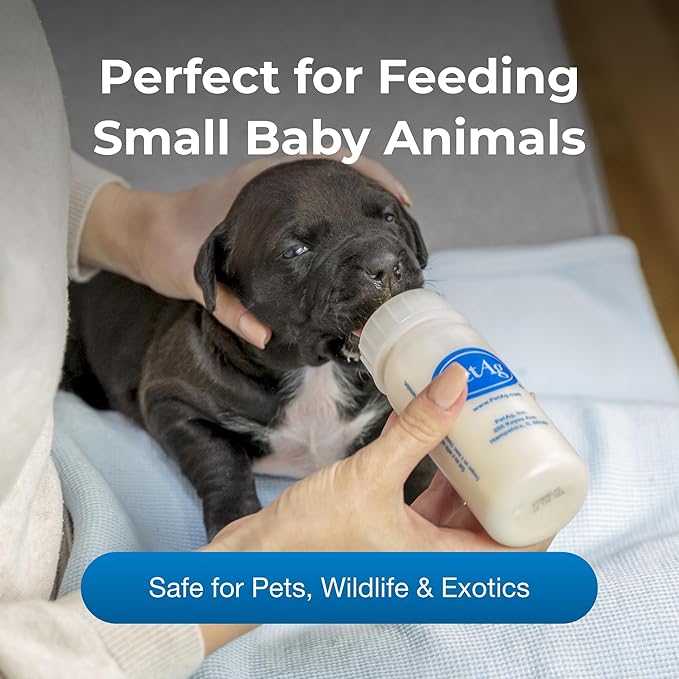 Pet-Ag Nursing Kit - 2 oz, Pack of 4 - Promotes The Natural Feeding of Liquids to Baby Animals - Each Kit Includes 2 oz. Bottle with Cap, 5 Nipples & Cleaning Brush