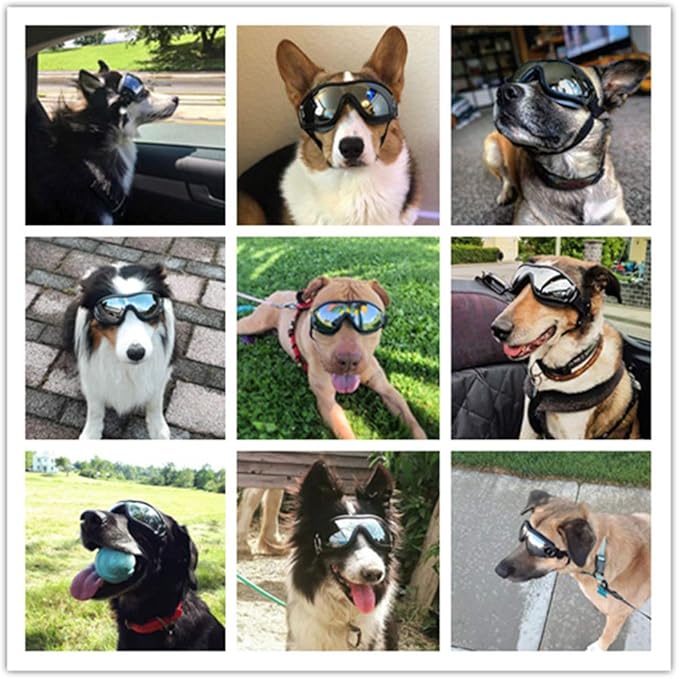 UV Protection Dog Goggles for Medium & Large Dogs - Waterproof Windproof Sunglasses, Durable Protective Eyewear for Long-Snout Breeds - Outdoor Hiking Running Glasses (Silver)