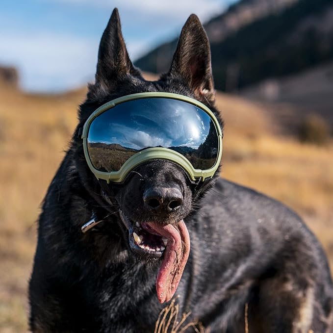 Rex Specs V2 Dog Goggles (Large, Black)