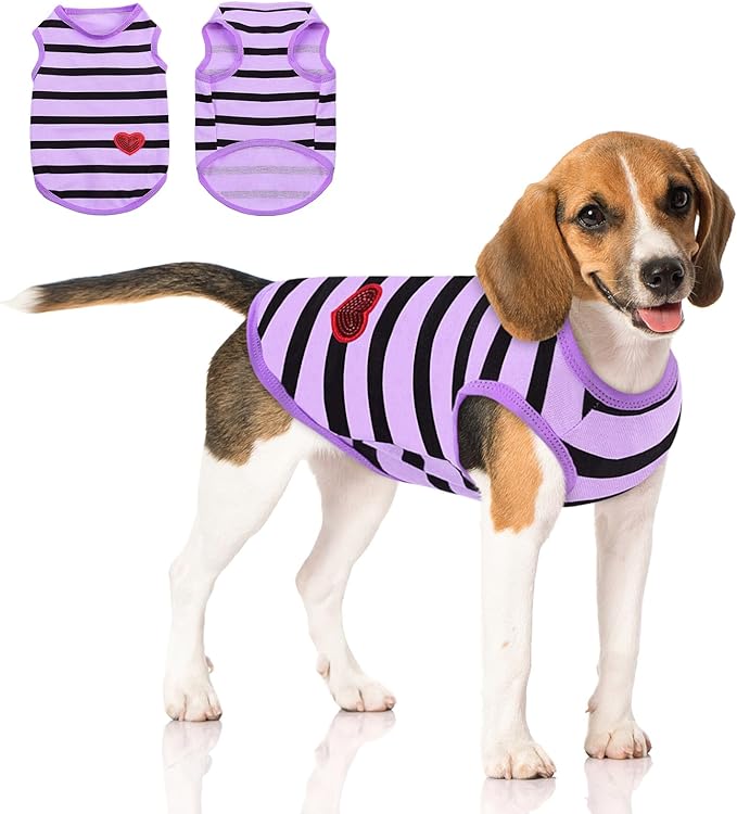 Queenmore Large Dog Shirt,Soft Breathable Dog Shirt for Dogs Cats Boy Girl,Pet Clothes for All Season,Breathable Lightweight Pet Tshirt for Frenchie, Dachshund, Yorkie