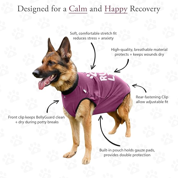 BellyGuard Dog Surgery Recovery Suit, Dog Onesie for Post-Op Care, Recovery Apparel for Female and Male, Surgical Body Cover for Canine Healing Support