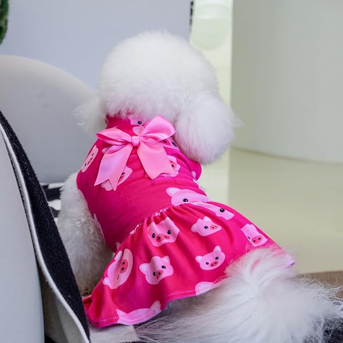 CuteBone Turtleneck Dog Velvet Dress Puppy Skirt Costume Pet Clothes Cat Apparel with Bow Hair Rope for Small Dogs CVD06S
