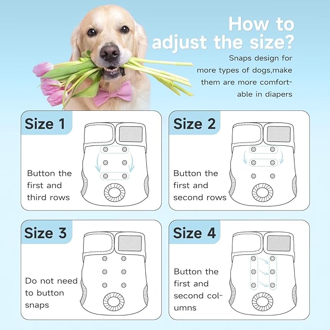 Paw Legend Washable Reusable Female Dog Period Diapers for Heat Doggie Puppy Diapers for Female Dogs (3 Pack, Large)