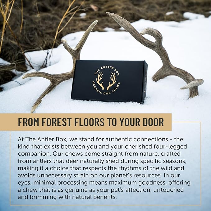 The Antler Box Premium Deer Antler Dog Chews (1 lb Bulk Pack) (Small(7 to 8 Antlers/lb