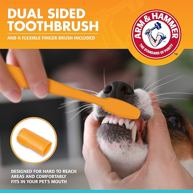 Arm & Hammer for Pets Fresh Breath Enzymatic Dog Dental Care Kit, Dog Toothpaste Kit with Toothbrush and Finger Brush for Tartar Control and Oral Hygiene, Chicken Flavor, 2.5 oz, 3-Piece Kit - 48 Pack
