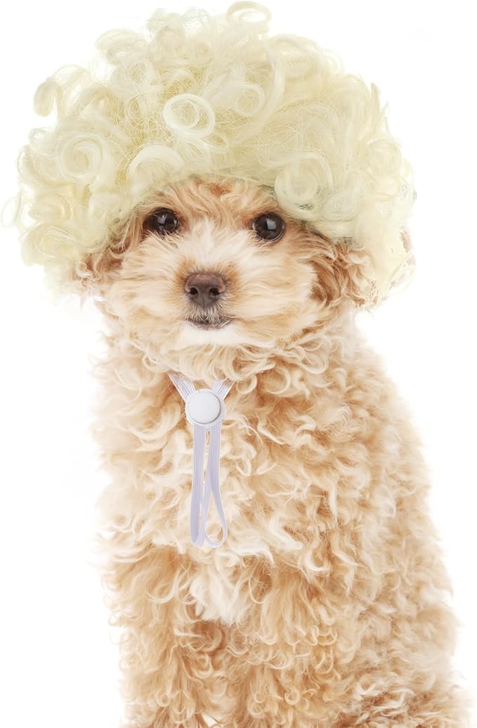 1 Pcs Funny Pets Wigs for Dog, Blonde Curly Dog Wig Adjustable Pet Wigs for Halloween Pet Costume Accessories for Christmas, Parties, Festivals Cosplay (Gold)