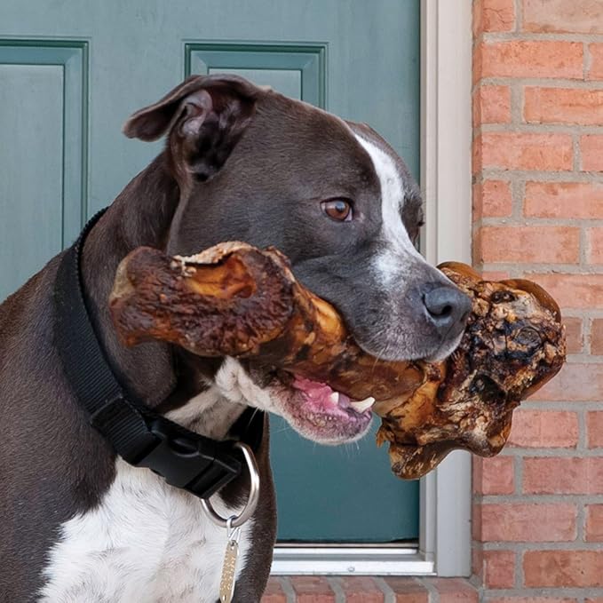 EcoKind Dog Bone Giant Femur Bone for Dogs | 1 Bone | Long Lasting Mammoth Dog Bones for Aggressive Chewers, Rawhide Free Healthy Dog Treat, Large Bones, Digestible Dog Chews & USDA Certified