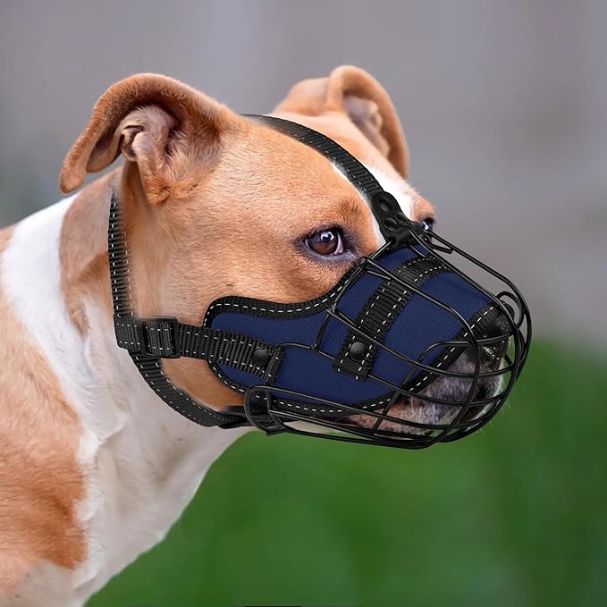 OOPSDOGGY Pitbull Dog Muzzle Reflective Metal Mask Secure Wire Basket Muzzles for Large Sized Dogs Amstaff Soft Cage to Prevent Biting Chewing with Adjustable Nylon Straps (Blue, Pitbull)