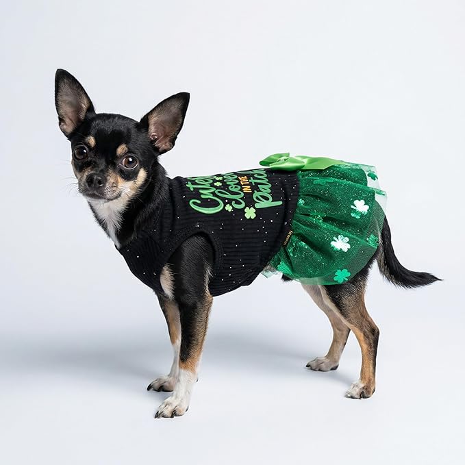 Fitwarm Cutest Clover in The Patch Dog Dress, St Patricks Day Dog Clothes for Small Dogs Girl, Funny Pet Cat Holiday Outfit, Black, Emerald Green, Medium