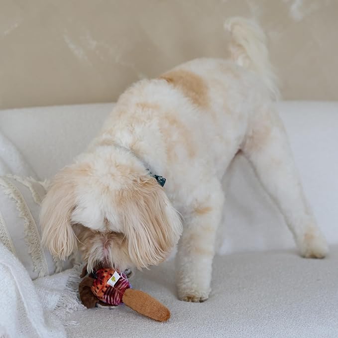 SPOT Bird Calls Plush Dog Toy with Realistic Bird Sound – 12" Sound Chip Toy for Dogs, One of Three Assorted Styles, Engaging Indoor Play for Small and Medium Breeds