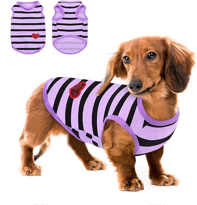 Queenmore Medium Dog Shirt,Soft Breathable Dog Shirt for Dogs Cats Boy Girl,Pet Clothes for All Season,Breathable Lightweight Pet Tshirt for Frenchie, Dachshund, Yorkie
