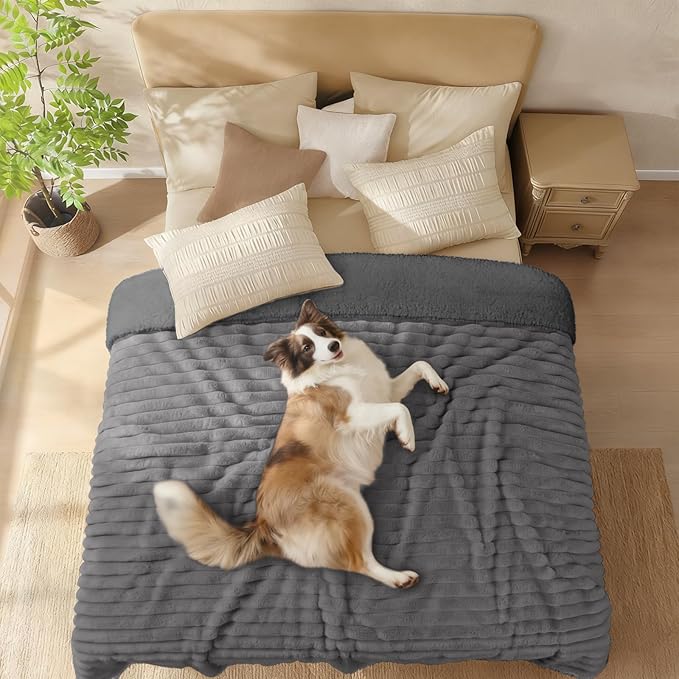 Luciphia Waterproof Dog Blanket for Medium Large Dogs Ultra-Soft Calming Cut Pile Flannel Throw Durable & Warm Furniture Protection for Couch Car Pet Blanket Machine Washable Stone Gray,M(57''x40'')