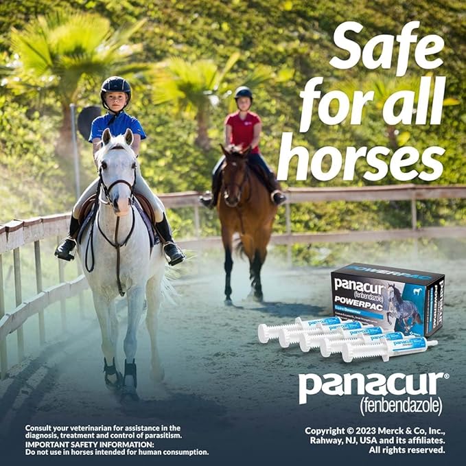 MERCK ANIML Health/DURVET Panacur Powerpac Dewormr Fenbendazole 1 Pack 57 Gram Paste 10%